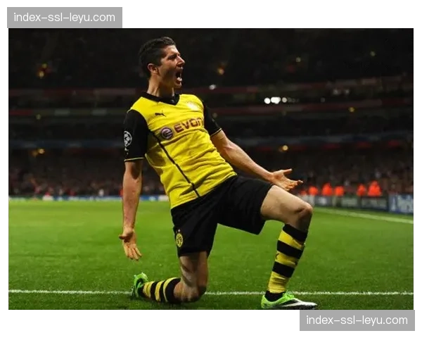 多特蒙德主场伊杜纳信号公园启动看台翻新，为下赛季欧战做准备